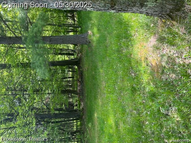 4148 Blue Vista Drive, Evart, MI 49631 — Photo 30
