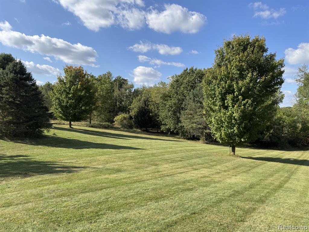 6409 Robb Road, Fowlerville, MI 48836 — Photo 12