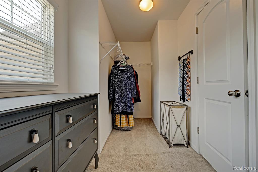 28545 Cottage Lane, New Hudson, MI 48165 — Photo 25
