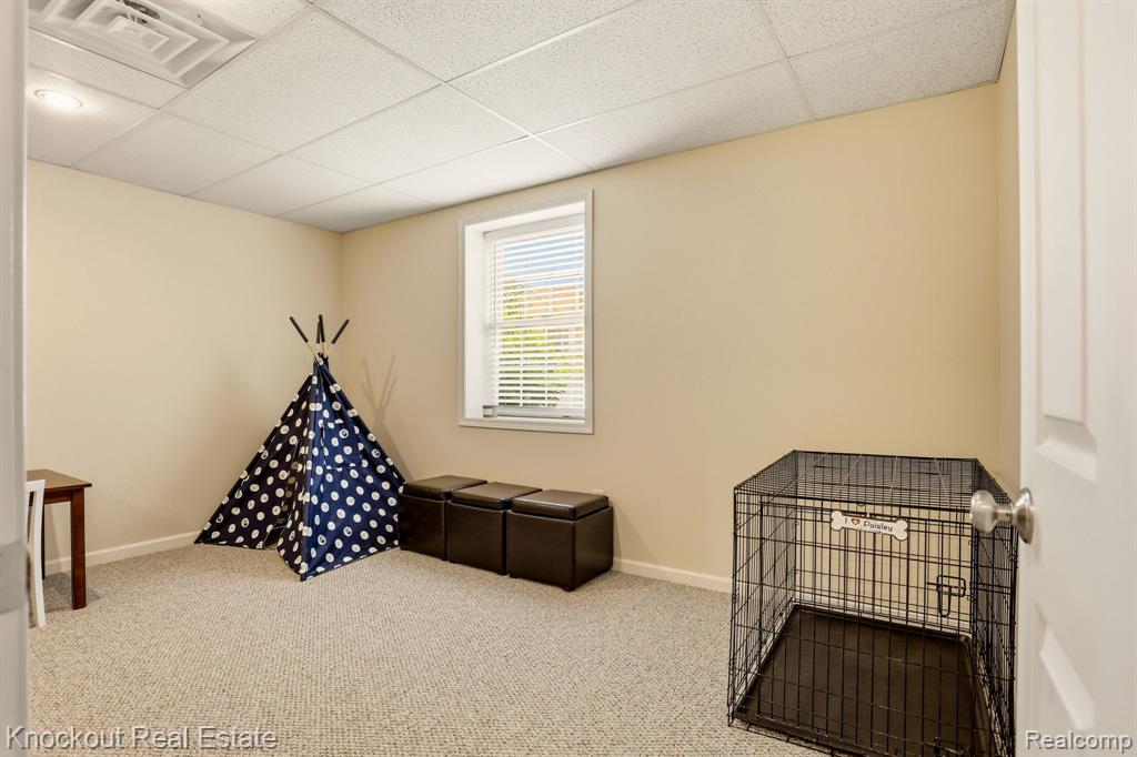 373 Block Street, Frankenmuth, MI 48734 — Photo 39