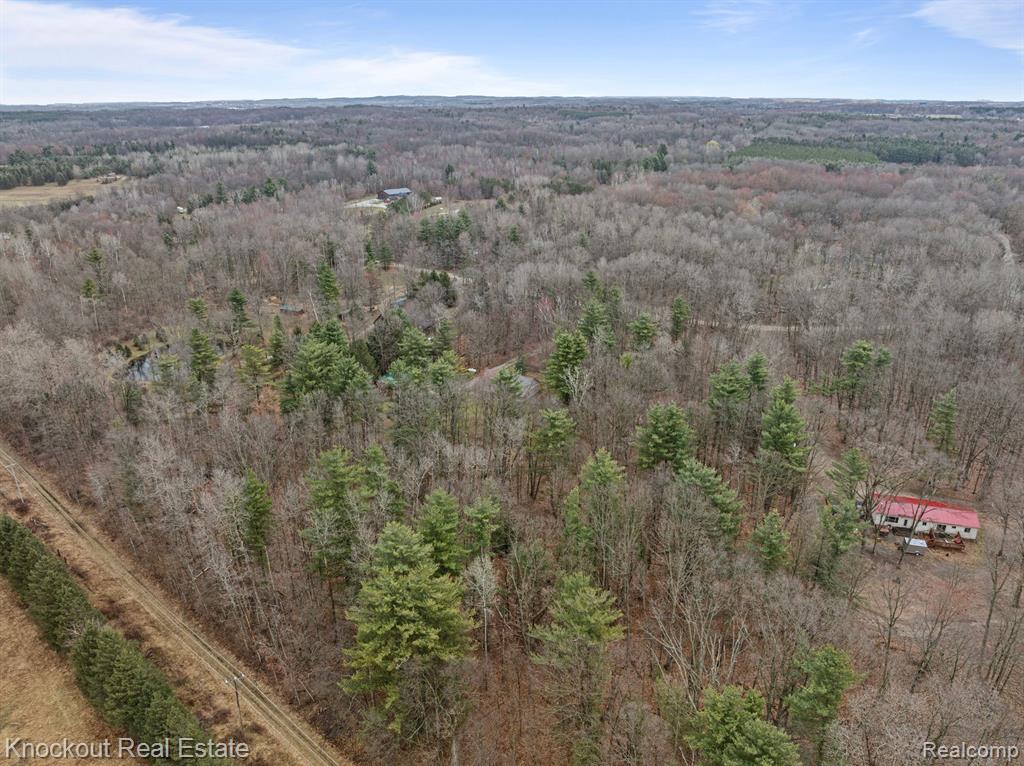 4848 LITTLE CEDAR CREEK Drive, Attica, MI 48412 — Photo 40