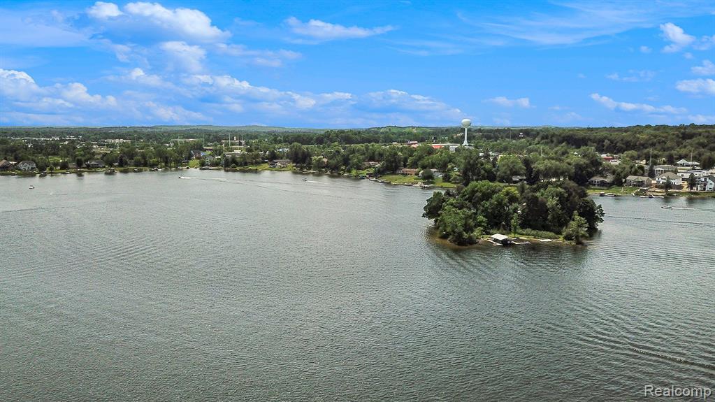8428 Woodland Shore Drive, Brighton, MI 48114 — Photo 9