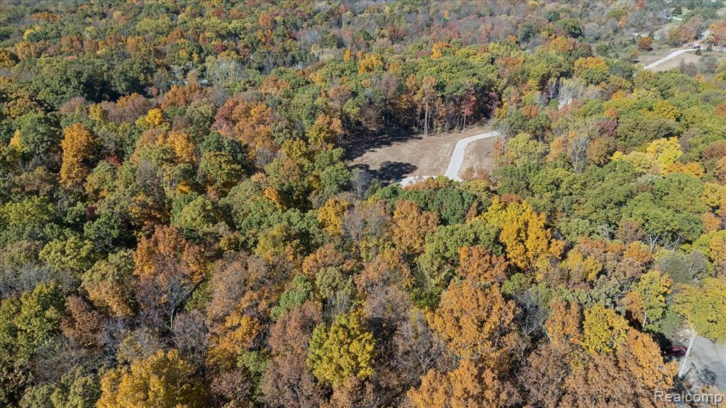 Parcel 6 Coon Lake Rd, Howell, MI 48843 — Photo 3
