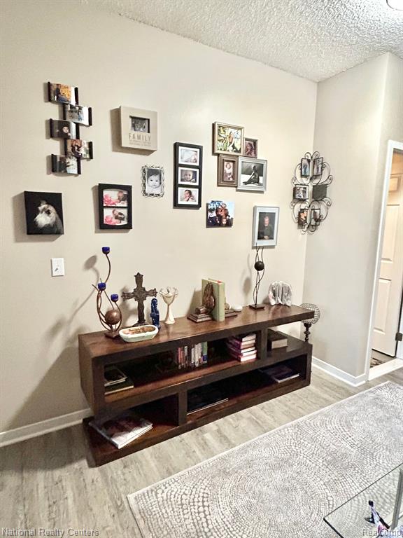 41816 INDEPENDENCE Drive, Novi, MI 48377 — Photo 5