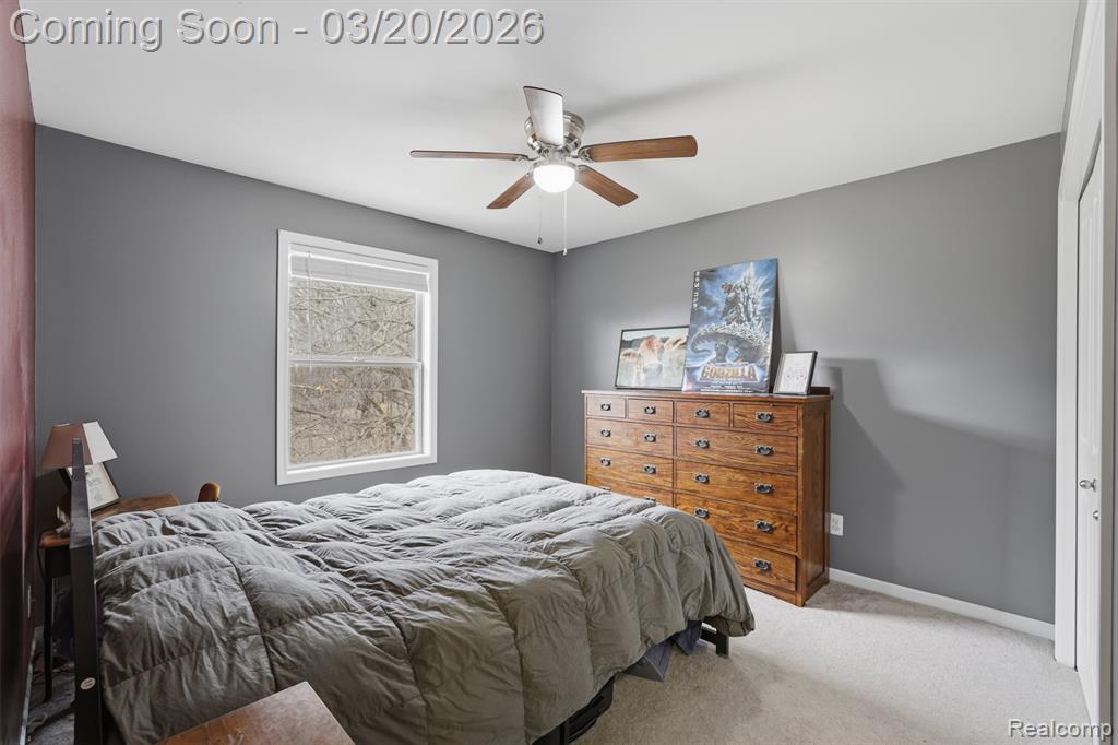 10487 Piedmont Drive, Brighton, MI 48114 — Photo 31