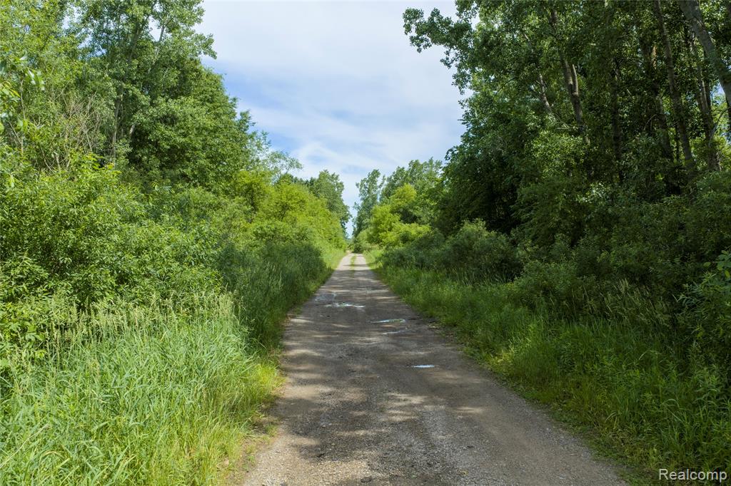 10069 Silver Lake Road, Linden, MI 48451 — Photo 13