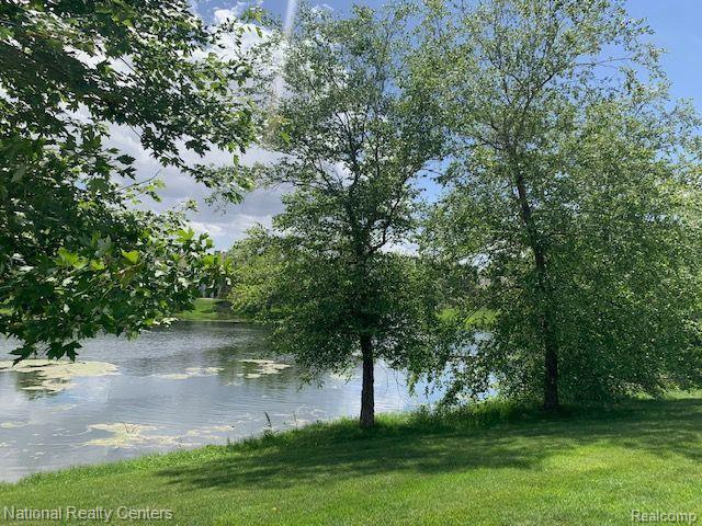 16704 DOVER Drive, Northville, MI 48168 — Photo 19
