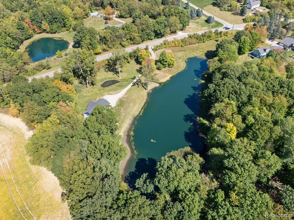 441 W Dryden Road, Metamora, MI 48455 — Photo 58