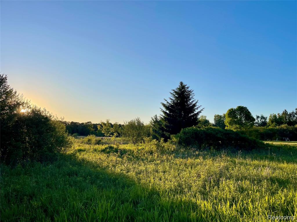 0 Hayden Road, Attica, MI 48412 — Photo 6