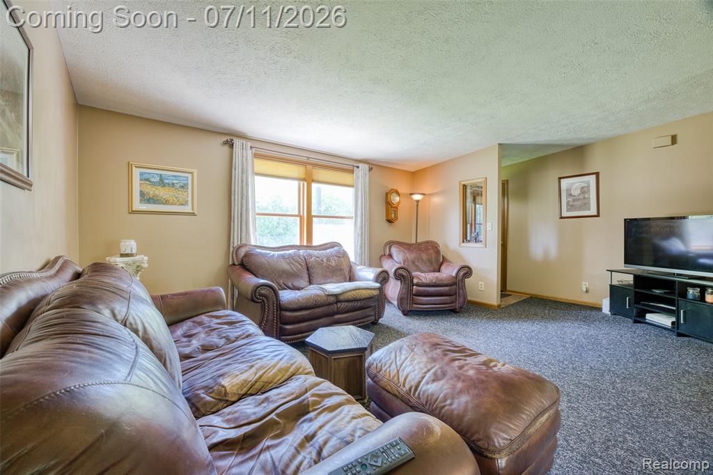13129 Evelyn Court, Belleville, MI 48111 — Photo 9
