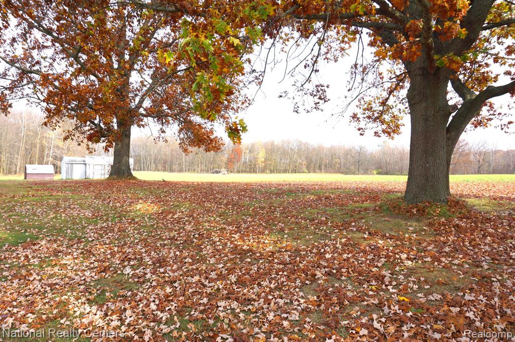 1755 KANE Road, Stockbridge, MI 49285 — Photo 9