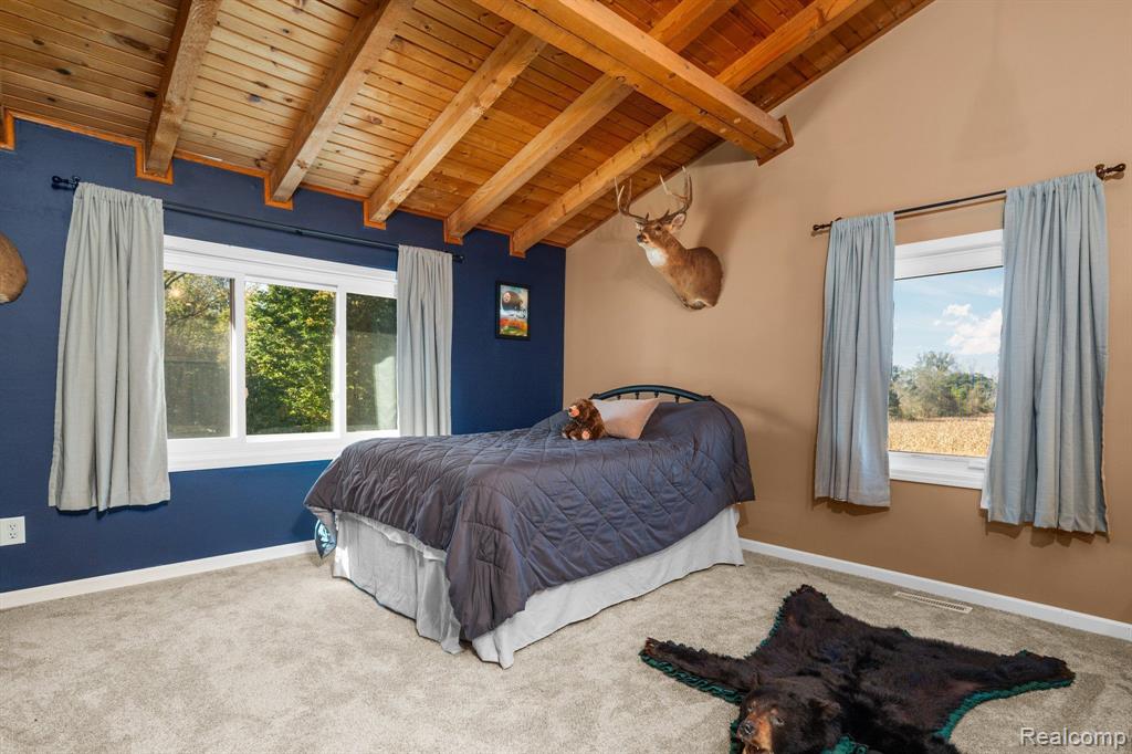 1131 N SEARLS Road, Webberville, MI 48892 — Photo 12