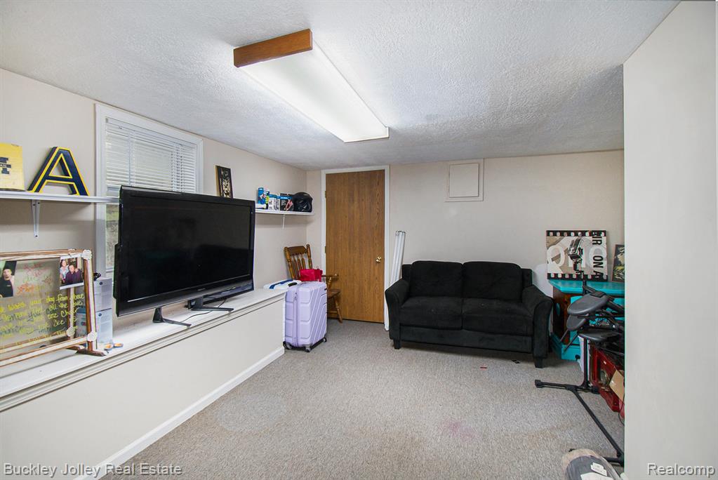 650 McCauley Street, Williamston, MI 48895 — Photo 10