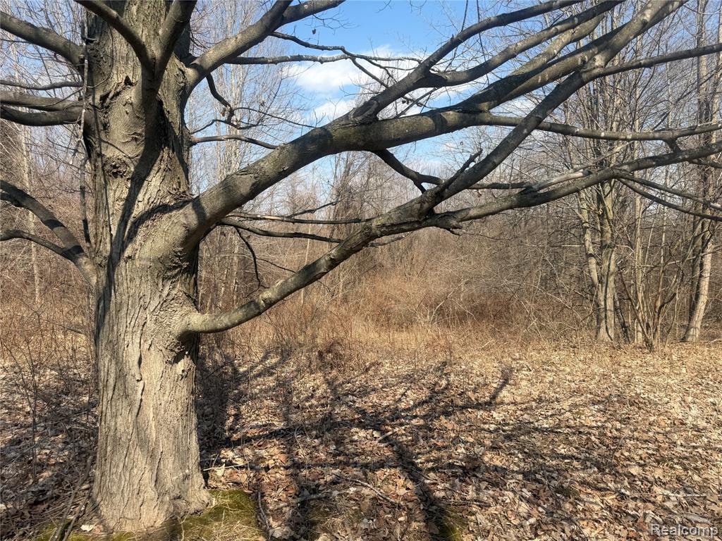 V/L Fulton, Mayville Vlg, MI 48744 — Photo 11