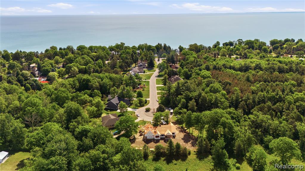 3855 Conifer Court, Burtchville, MI 48059 — Photo 11