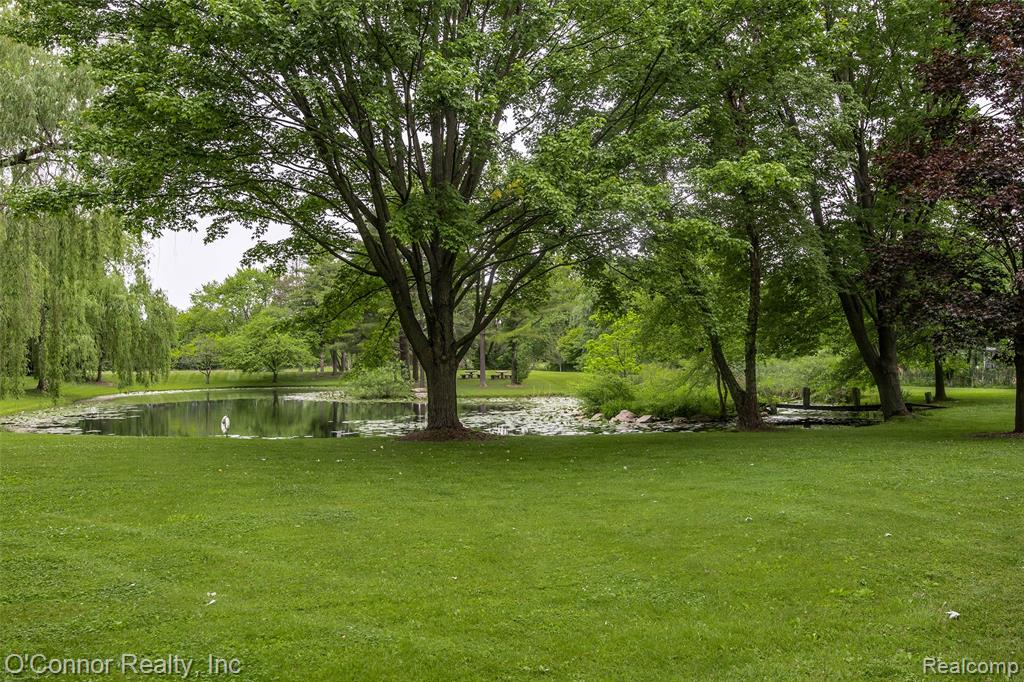 4304 Church Road, Casco, MI 48064 — Photo 10