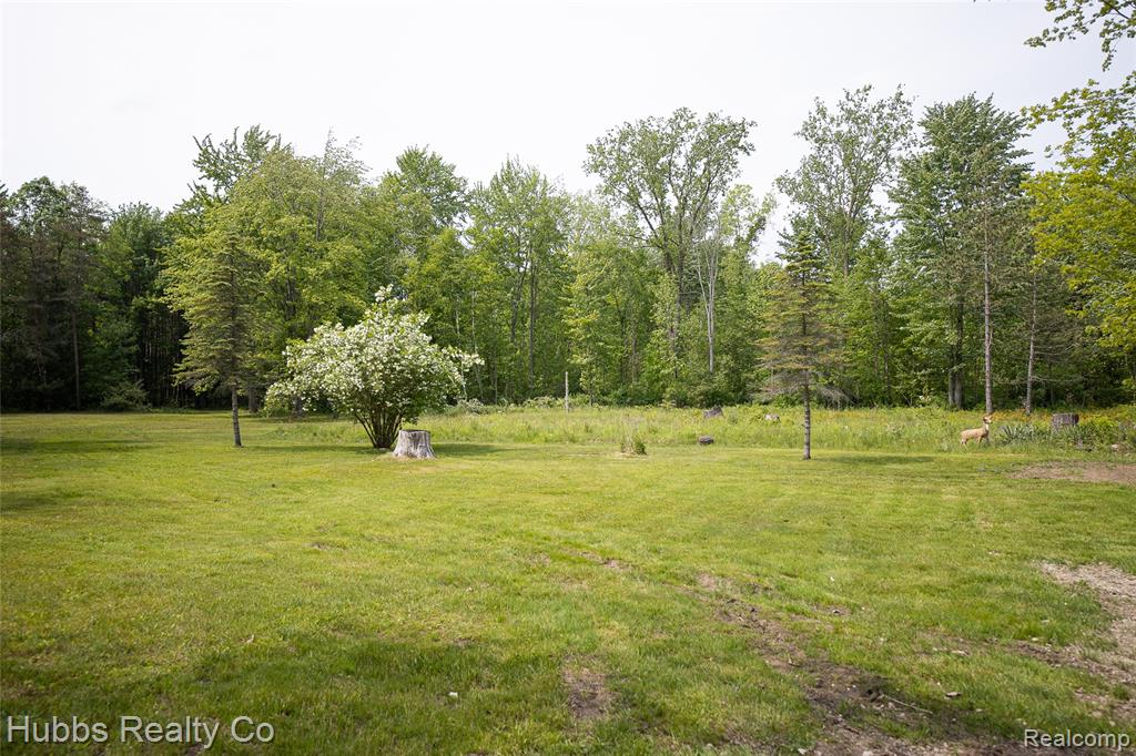 3960 Hanes Road, Vassar, MI 48768 — Photo 59