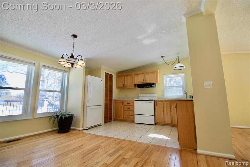 11250 S New Lothrop Road, Durand, MI 48429 — Photo 4