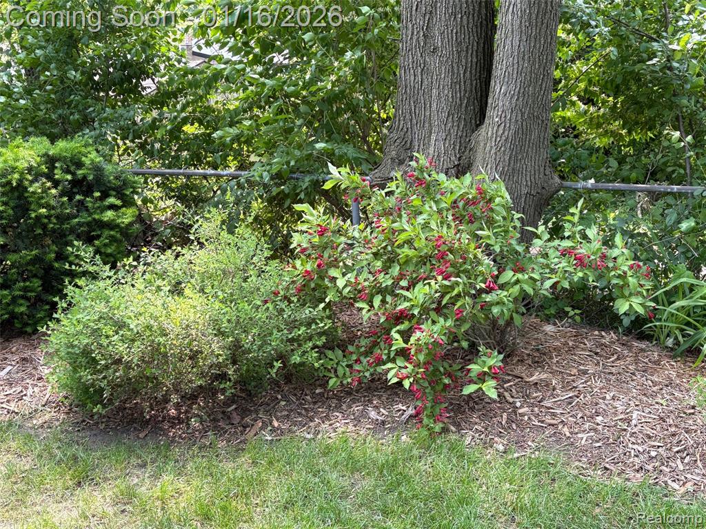 946 Novi Street, Northville, MI 48167 — Photo 15