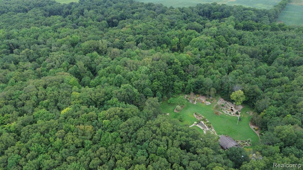 9020 PEPPER Lane, Onondaga, MI 49264 — Photo 4