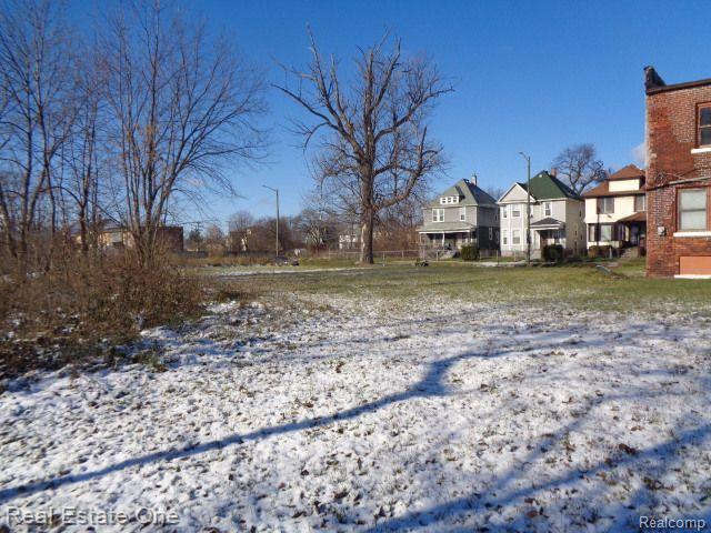 9039 3RD Street, Detroit, MI 48202 — Photo 3