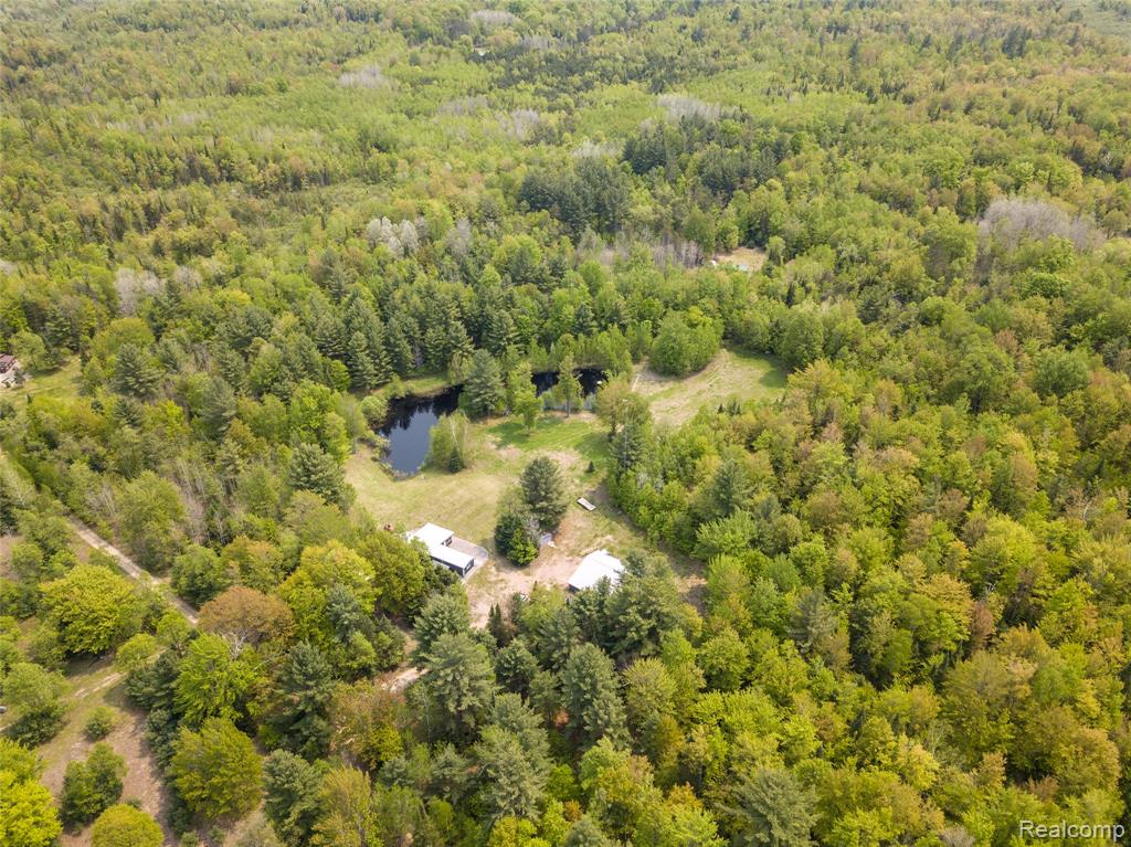 5960 N Trail SE, Kalkaska, MI 49646 — Photo 3