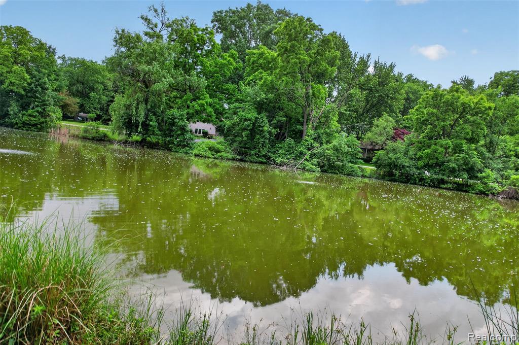 4845 Bryn Mawr Drive, Bloomfield Hills, MI 48301 — Photo 6