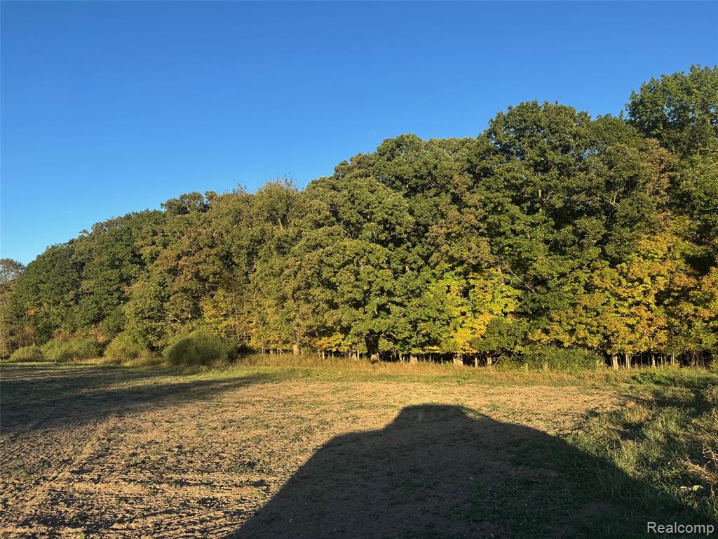 VL Rock Valley Road, Metamora, MI 48455 — Photo 9