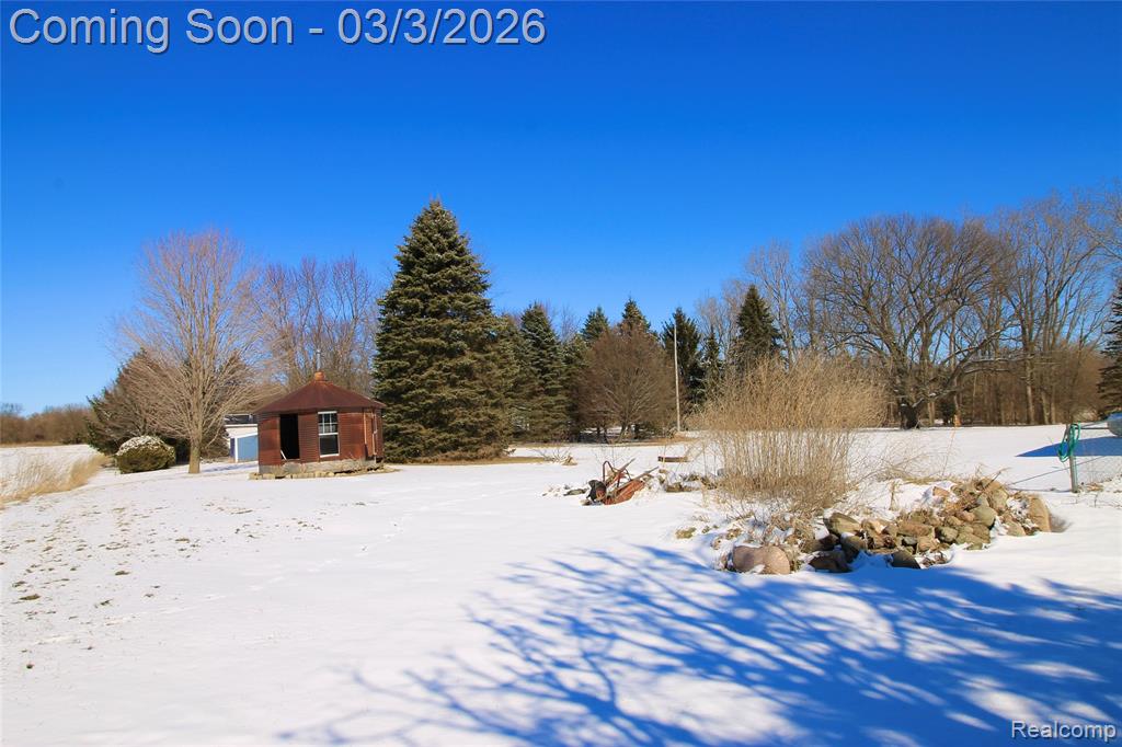 11250 S New Lothrop Road, Durand, MI 48429 — Photo 19