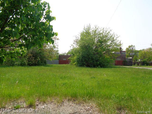 1051 CONCORD Street, Detroit, MI 48207 — Photo 4