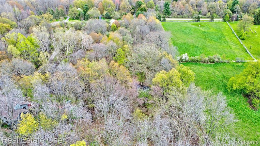 590 Judi Ann Lane, Holly, MI 48442 — Photo 14