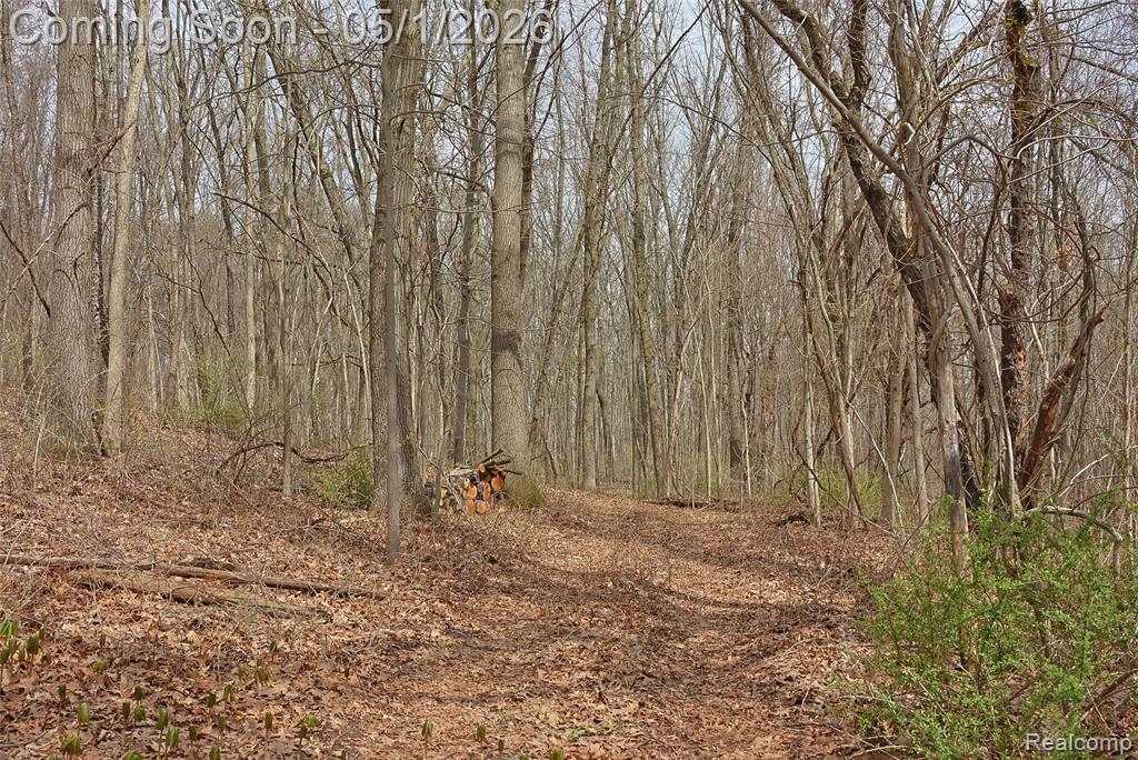 2775 Hummer Lake Road, Ortonville, MI 48462 — Photo 42