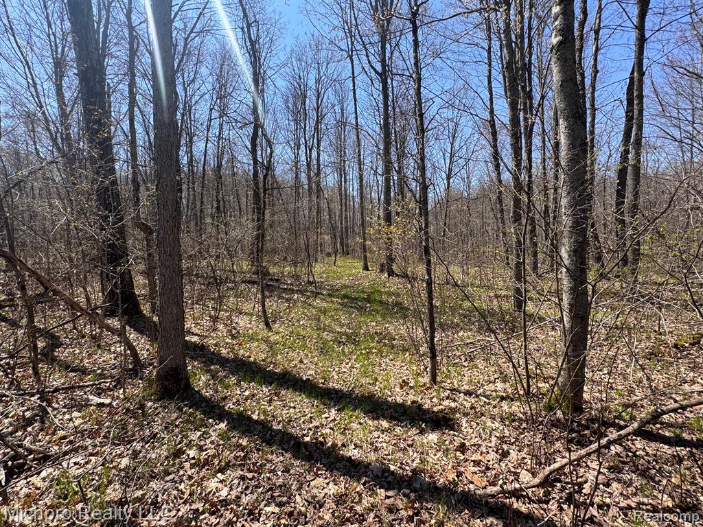 6891 PINE TREE Drive, Glennie, MI 48737 — Photo 24