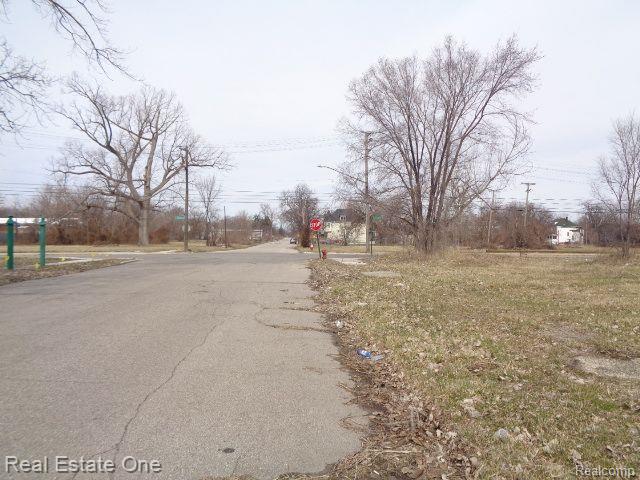 612 CONCORD Street, Detroit, MI 48207 — Photo 5