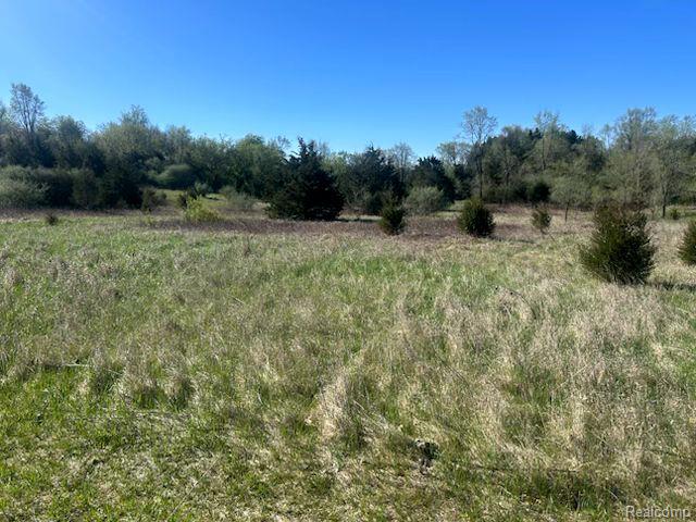 Lot A M-36 Road, Hamburg, MI 48169 — Photo 7