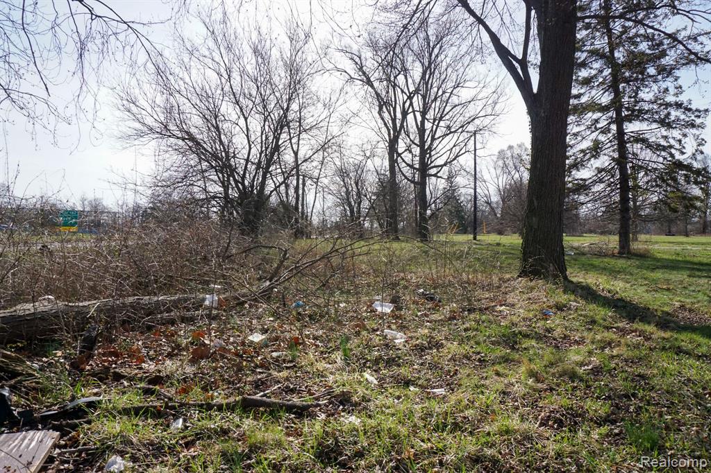 13500 PATTON Street, Detroit, MI 48223 — Photo 7