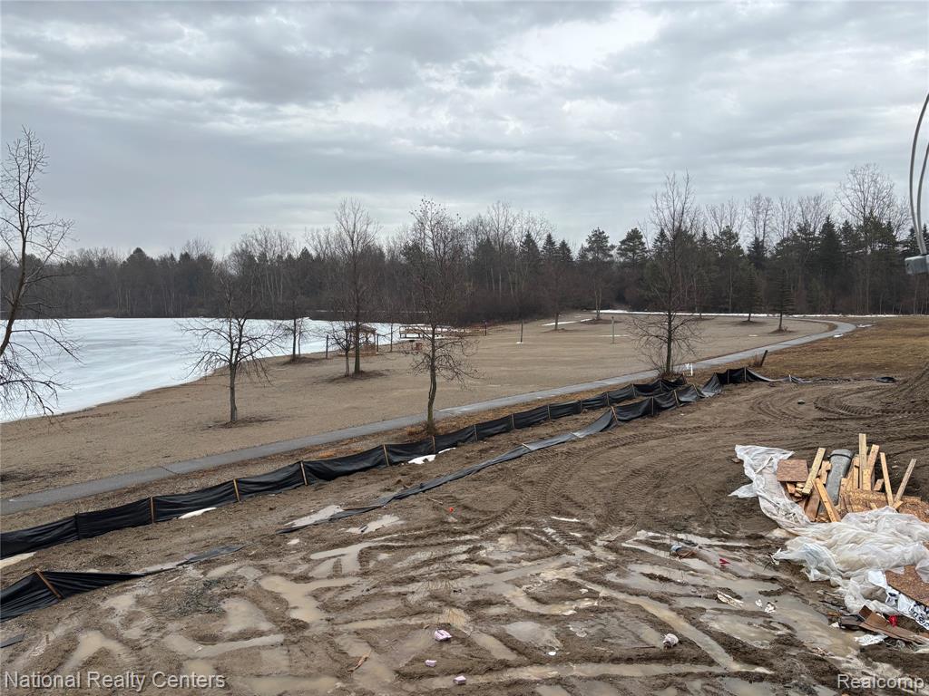 10376 Rosemarie Run Run, Brighton, MI 48114 — Photo 3