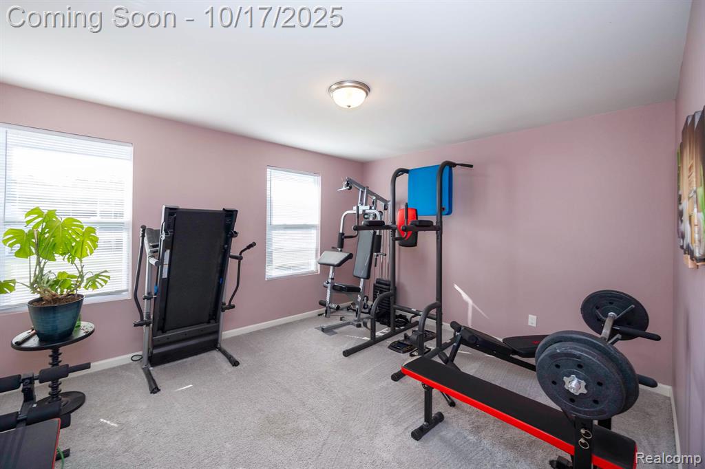 410 Natures Way, Carleton, MI 48117 — Photo 37