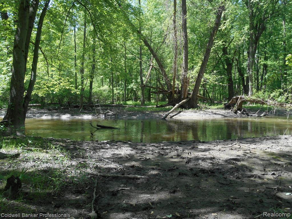 1651 CASTLE Road, North Branch, MI 48461 — Photo 23