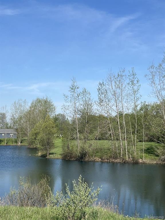 VL Turtle Lake Road, North Branch, MI 48461 — front exterior