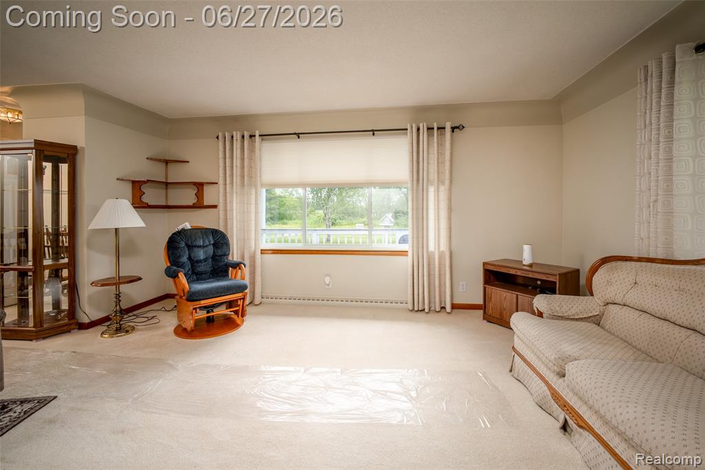10086 N Lewis Road, Clio, MI 48420 — Photo 3
