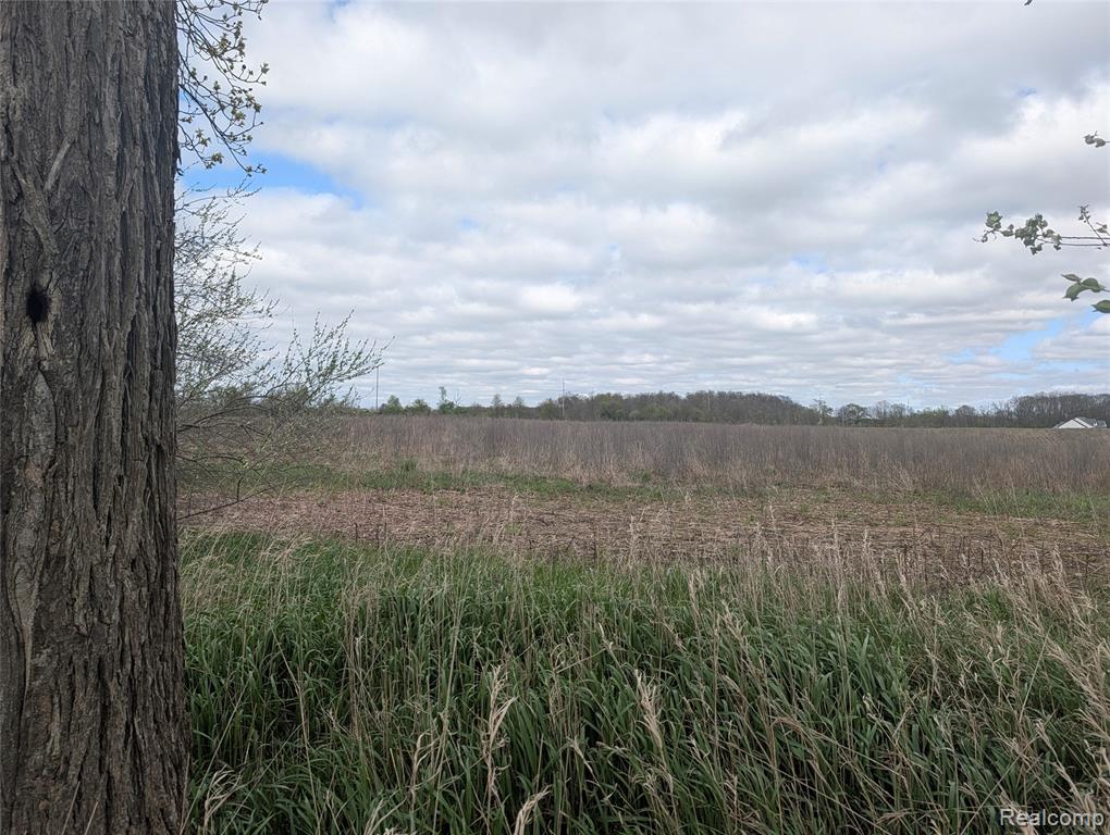 Parcel E Hogan Road, Linden, MI 48451 — Photo 5