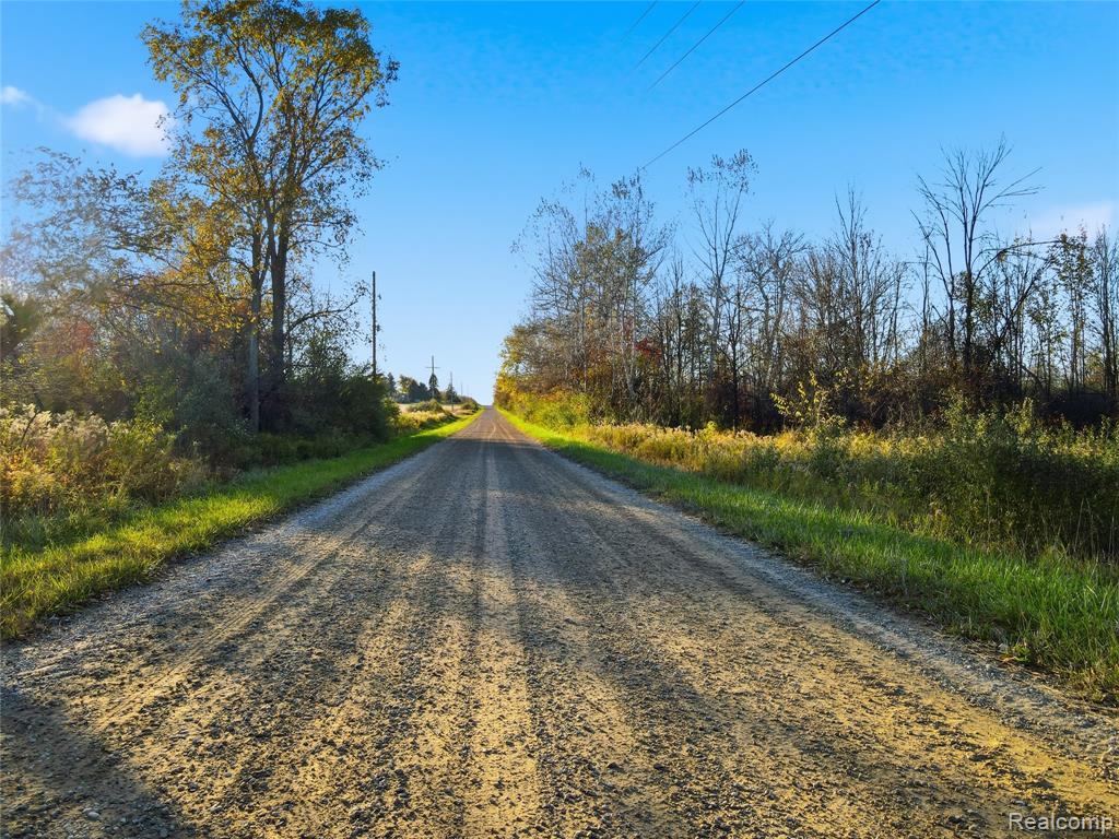 TBD Walker Road, MI — Photo 4