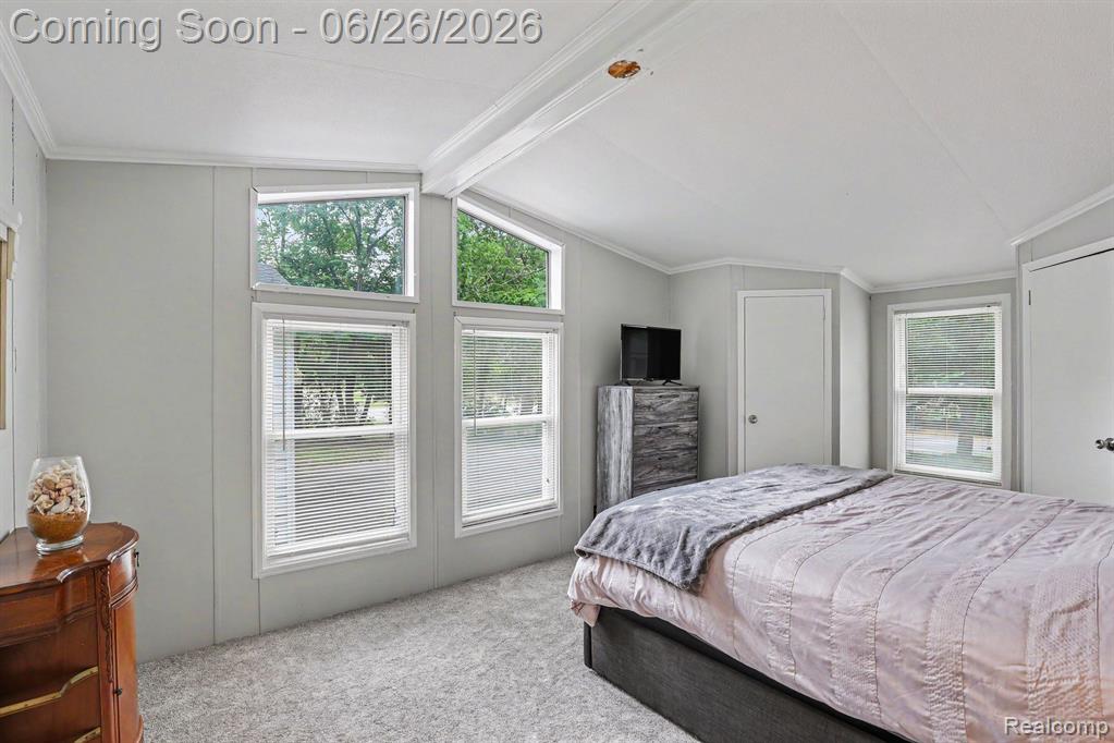 6830 Stephens Drive, Caseville, MI 48725 — Photo 9