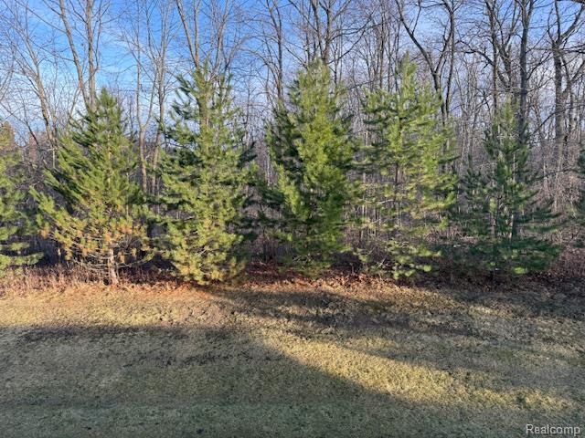 2750 Castlemartin Court, Oakland, MI 48306 — Photo 12