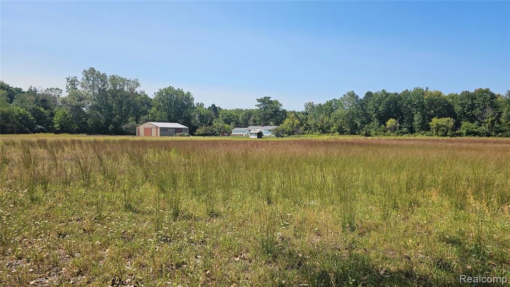 14066 N Lewis Road, Clio, MI 48420 — Photo 38