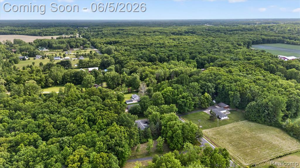 2083 Wells Road, Dundee, MI 48131 — Photo 52