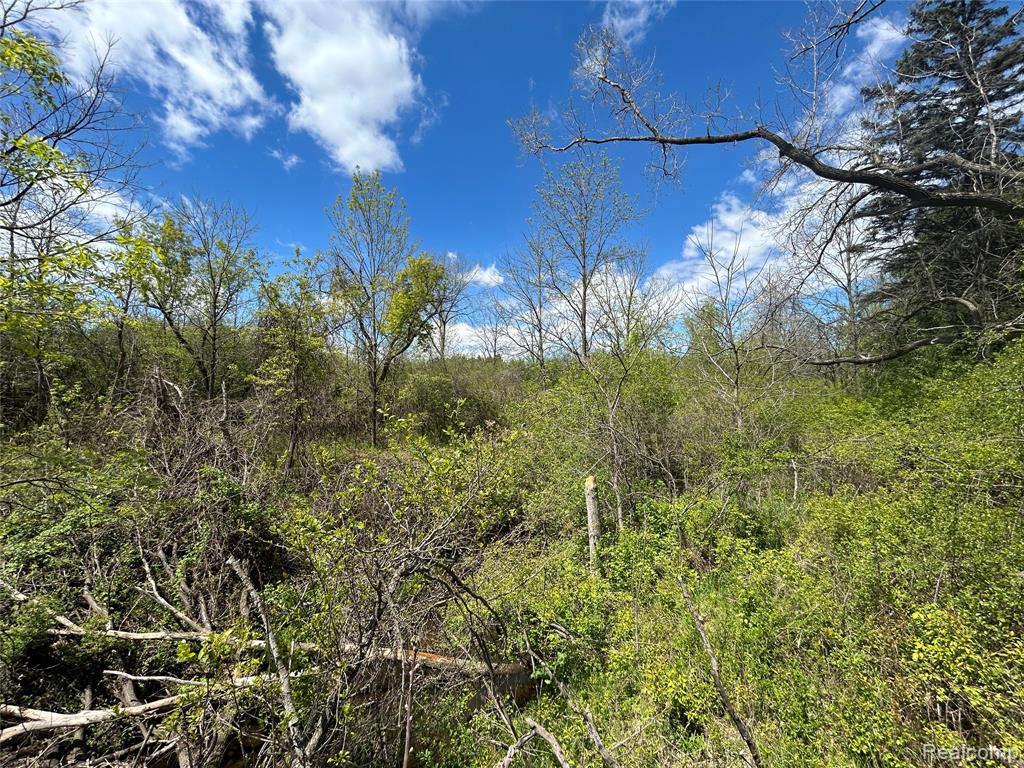 2356 S DYE Road, Flint, MI 48532 — Photo 17