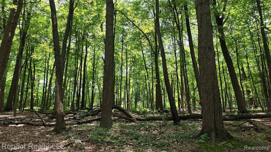 6555 Skylar Lane, Waterford, MI 48327 — Photo 28