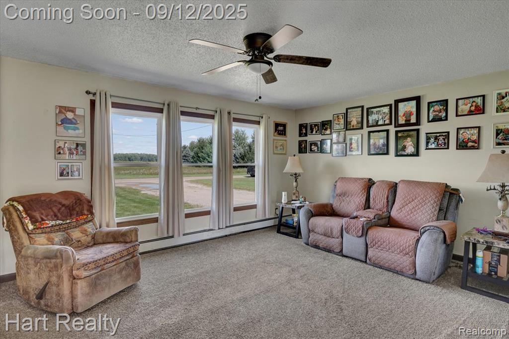 5745 ADAMS Road, Marlette, MI 48453 — Photo 8